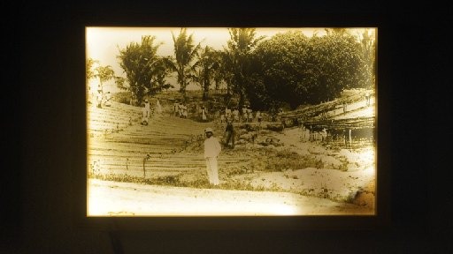 Syowia Kyambi