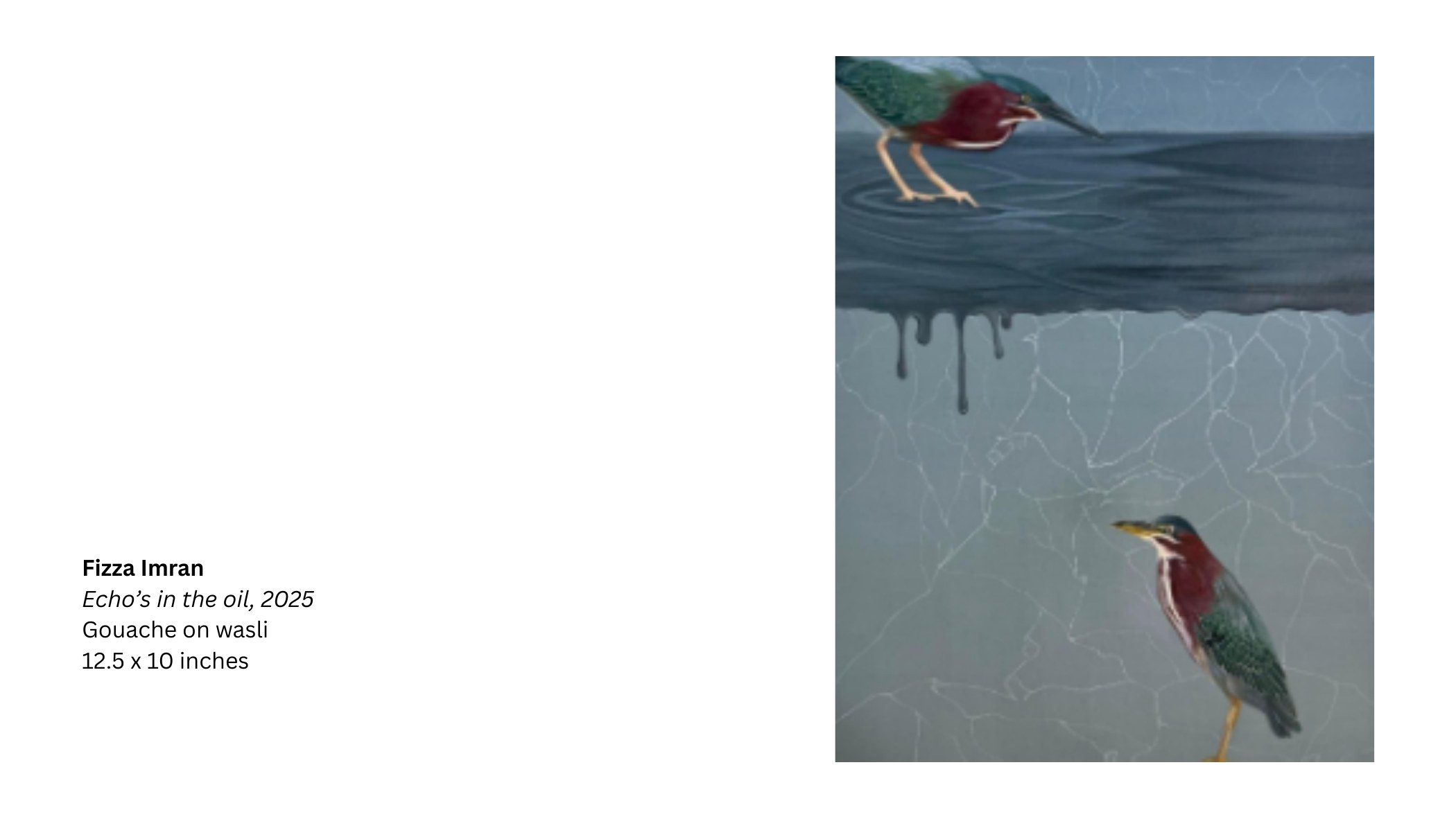Echoes in the Oil by Fizza Imran